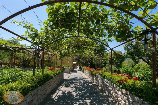 La Cantina del Fattore